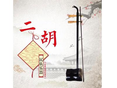 招聘怀化二胡家教老师